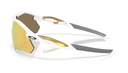 Oakley Radar Plate Carbone Polished white Prizm 24K 