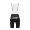 Team Visma Lease a Bike TDF 2025 The Swarm Bibshort Cuissard