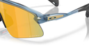Oakley Stunt Devil - Matte Clear - Prizm Field