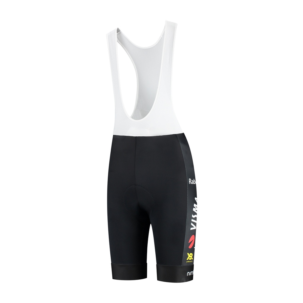 Team Visma Lease A Bike Cuissard 2026