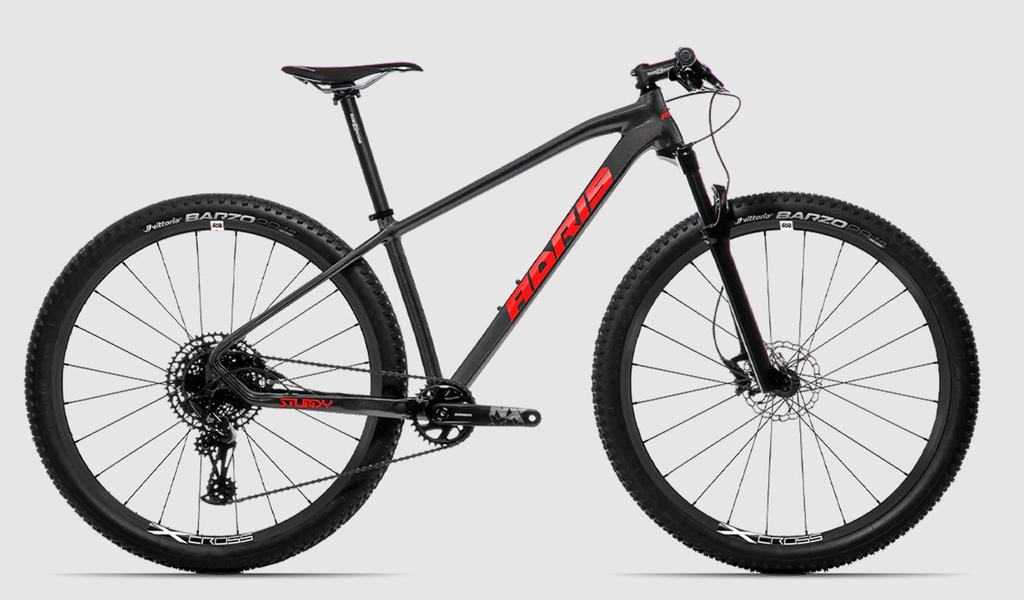Adris Sturdy Sram NX Eagle Gris titane