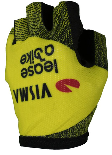 Team Lease a Bike The Swarm TDF 2025 Gloves Gants