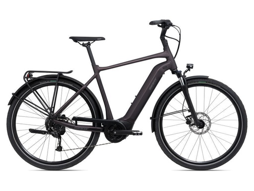 Giant Dailytour E+ 3 GTS